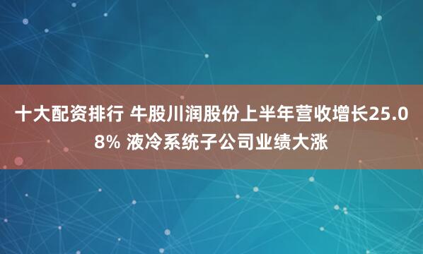 十大配资排行 牛股川润股份上半年营收增长25.08% 液冷系统子公司业绩大涨